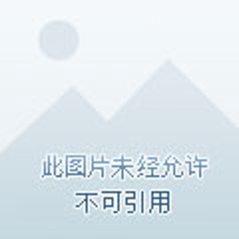 企业官网建设：如何打造最佳形象展示平台